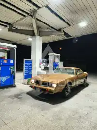 1977 Pontiac FIREBIRD