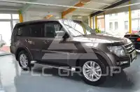 2016 Mitsubishi PAJARO