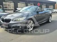 2016 BMW 220