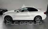 2016 BMW 220