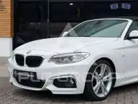2016 BMW 220