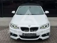 2016 BMW 220
