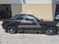 2016 BMW 220