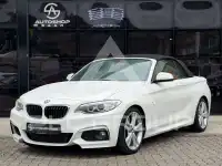 2016 BMW 220
