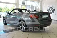 2016 BMW 220
