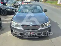 2016 BMW 220