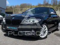 2016 BMW 220