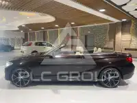 2016 BMW 218