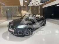 2016 BMW 218