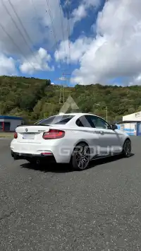 2016 BMW 240M