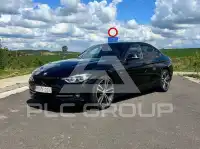 2016 BMW 316