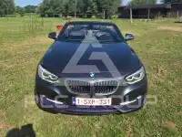 2016 BMW 218