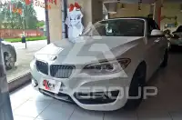2016 BMW 218