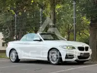 2016 BMW 218