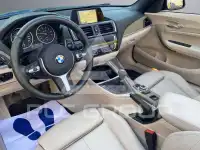 2016 BMW 218
