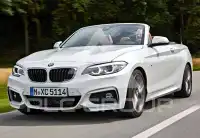 2016 BMW 218