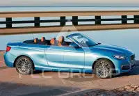 2016 BMW 218