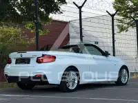 2016 BMW 218