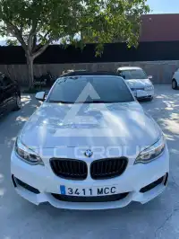 2016 BMW 228