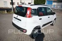 2016 Fiat Panda