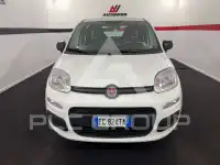 2016 Fiat Panda