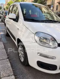 2016 Fiat Panda