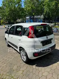 2016 Fiat Panda