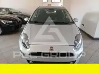 2016 Fiat Punto