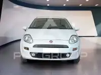 2016 Fiat Punto