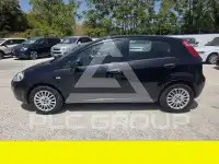 2016 Fiat Punto