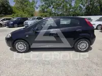 2016 Fiat Punto