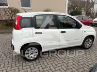 2016 Fiat Panda