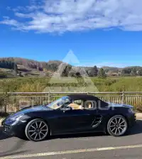 2016 Porsche 718