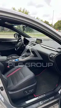 2016 Lexus NX300