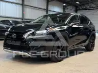 2016 Lexus NX300