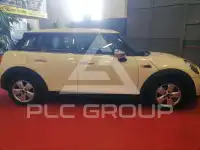 2016 Mini Unknown