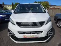 2016 Peugeot Traveller