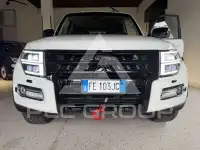 2017 Mitsubishi PAJARO