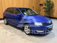 2017 Skoda Rapid