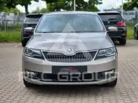 2017 Skoda Rapid