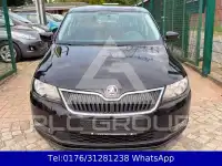 2017 Skoda Rapid
