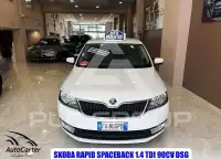 2017 Skoda Rapid