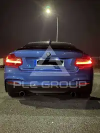 2017 BMW 230