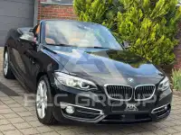 2017 BMW 230