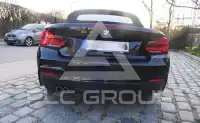 2017 BMW 230