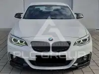 2017 BMW 220