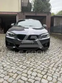 2017 BMW 220