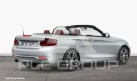 2017 BMW 220