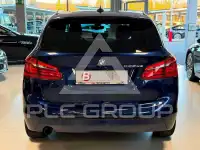 2017 BMW 225