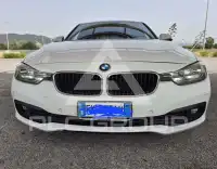2017 BMW 316
